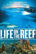 Watch Life on the Reef 2KMovies