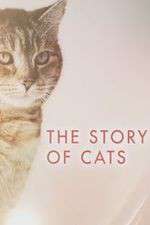 Watch The Story of Cats 2KMovies