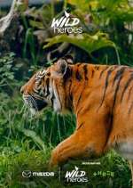 Watch Wild Heroes 2KMovies