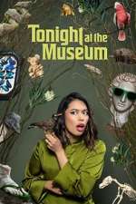 tonight at the museum season 1 episode 2 tv poster