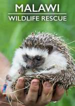 Watch Malawi Wildlife Rescue 2KMovies