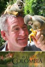 Watch Wild Colombia with Nigel Marven 2KMovies