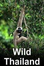 Watch Wild Thailand 2KMovies