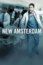 Watch New Amsterdam 2KMovies