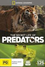 Watch Secret Life of Predators 2KMovies