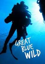 Watch Great Blue Wild 2KMovies