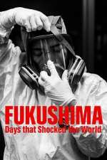 Watch Fukushima: Days That Shocked The World 2KMovies