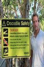 Watch Swimming With Crocodiles 2KMovies