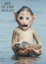 Watch Spy in the Ocean 2KMovies