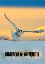 Watch Kingdom of the North 2KMovies