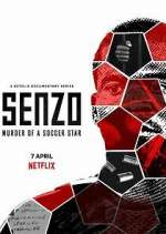 Watch Senzo: Murder of a Soccer Star 2KMovies