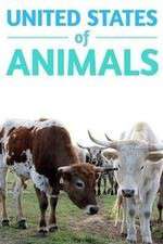 Watch United States of Animals 2KMovies