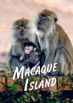 Watch Macaque Island 2KMovies