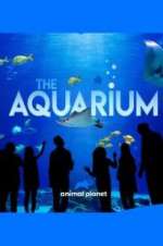 Watch The Aquarium 2KMovies
