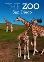 Watch The Zoo: San Diego 2KMovies