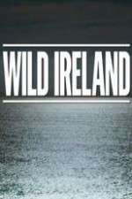 Watch Wild Ireland 2KMovies