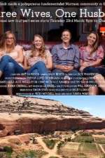 Watch Three Wives One Husband 2KMovies