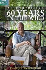 Watch Attenborough 60 Years in the Wild 2KMovies