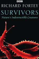 Watch Survivors: Nature's Indestructible Creatures 2KMovies