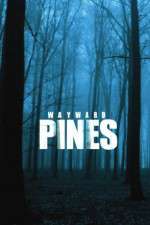 Watch Wayward Pines 2KMovies