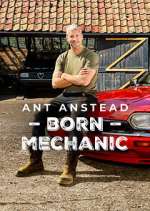 Watch Ant Anstead: Born Mechanic 2KMovies