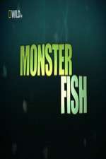 Watch National Geographic Monster Fish 2KMovies