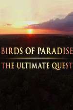 Watch Birds of Paradise: The Ultimate Quest 2KMovies