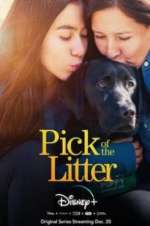 Watch Pick of the Litter 2KMovies