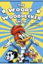 Watch The Woody Woodpecker Show 2KMovies
