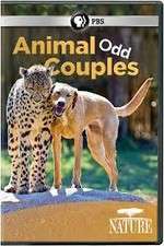 Watch Animal Odd Couples 2KMovies