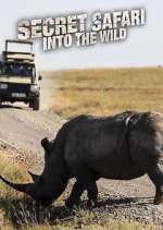 Watch Secret Safari: Into the Wild 2KMovies