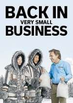 Watch Back in Very Small Business 2KMovies