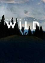 Watch Called to the Wild 2KMovies