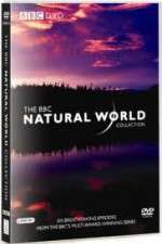 Watch The Natural World 2KMovies