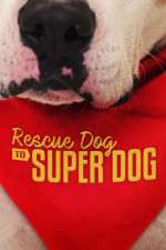Watch Rescue Dog to Super Dog (US) 2KMovies
