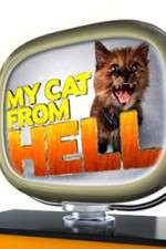 Watch My Cat from Hell 2KMovies