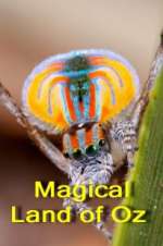Watch Magical Land of Oz 2KMovies