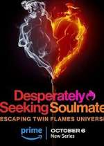 Watch Desperately Seeking Soulmate: Escaping Twin Flames Universe 2KMovies
