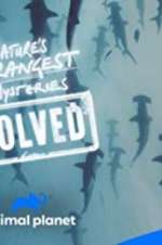 Watch Nature\'s Strangest Mysteries: Solved 2KMovies