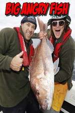 Watch Big Angry Fish 2KMovies