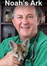 Watch Noah's Ark 2KMovies