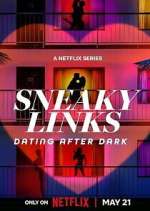Watch Sneaky Links: Dating After Dark 2KMovies
