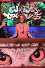 Watch Curious Creatures 2KMovies