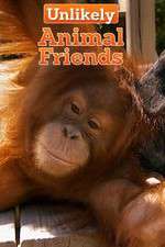 Watch Unlikely Animal Friends 2KMovies