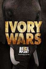 Watch Ivory Wars 2KMovies