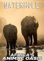 Watch Waterhole: Africa's Animal Oasis 2KMovies