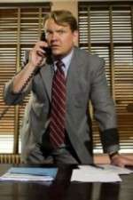 Watch Andy Barker, P.I. 2KMovies