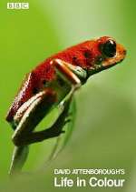 Watch Attenborough's Life in Colour 2KMovies