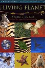 Watch The Living Planet 2KMovies