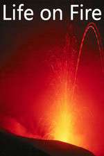 Watch Life on Fire 2KMovies